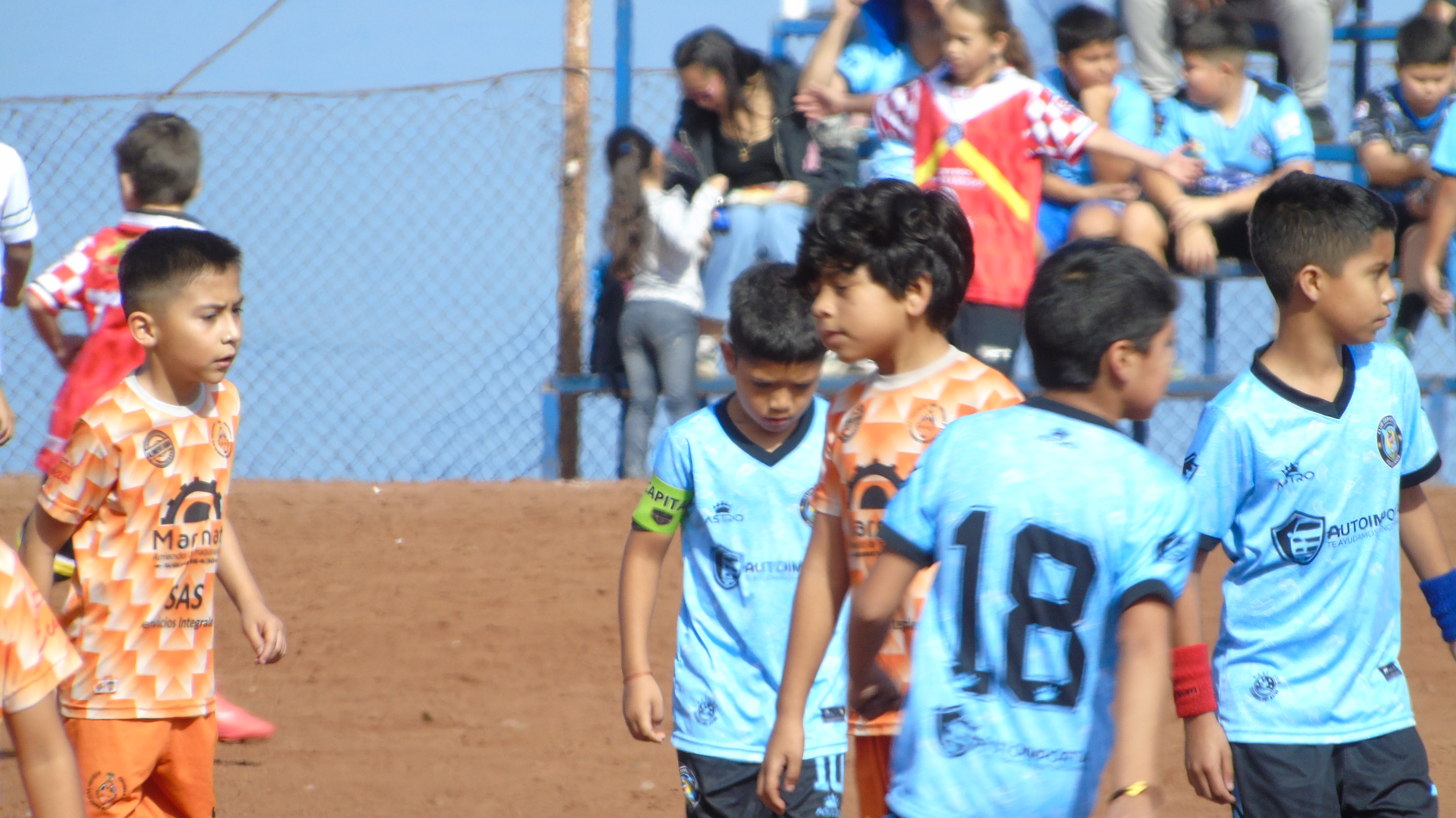 PRE MINI 11