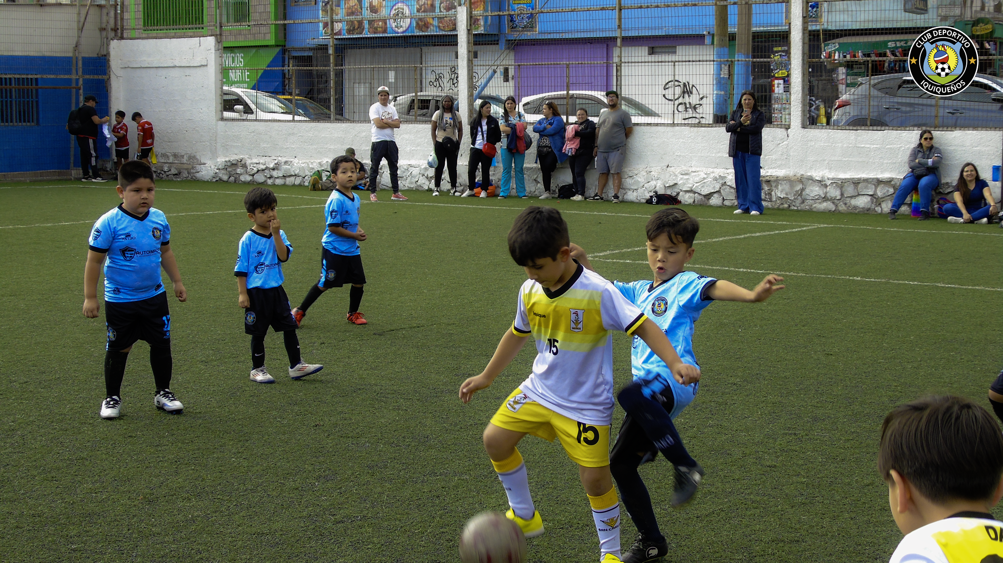 Galeria del club 1