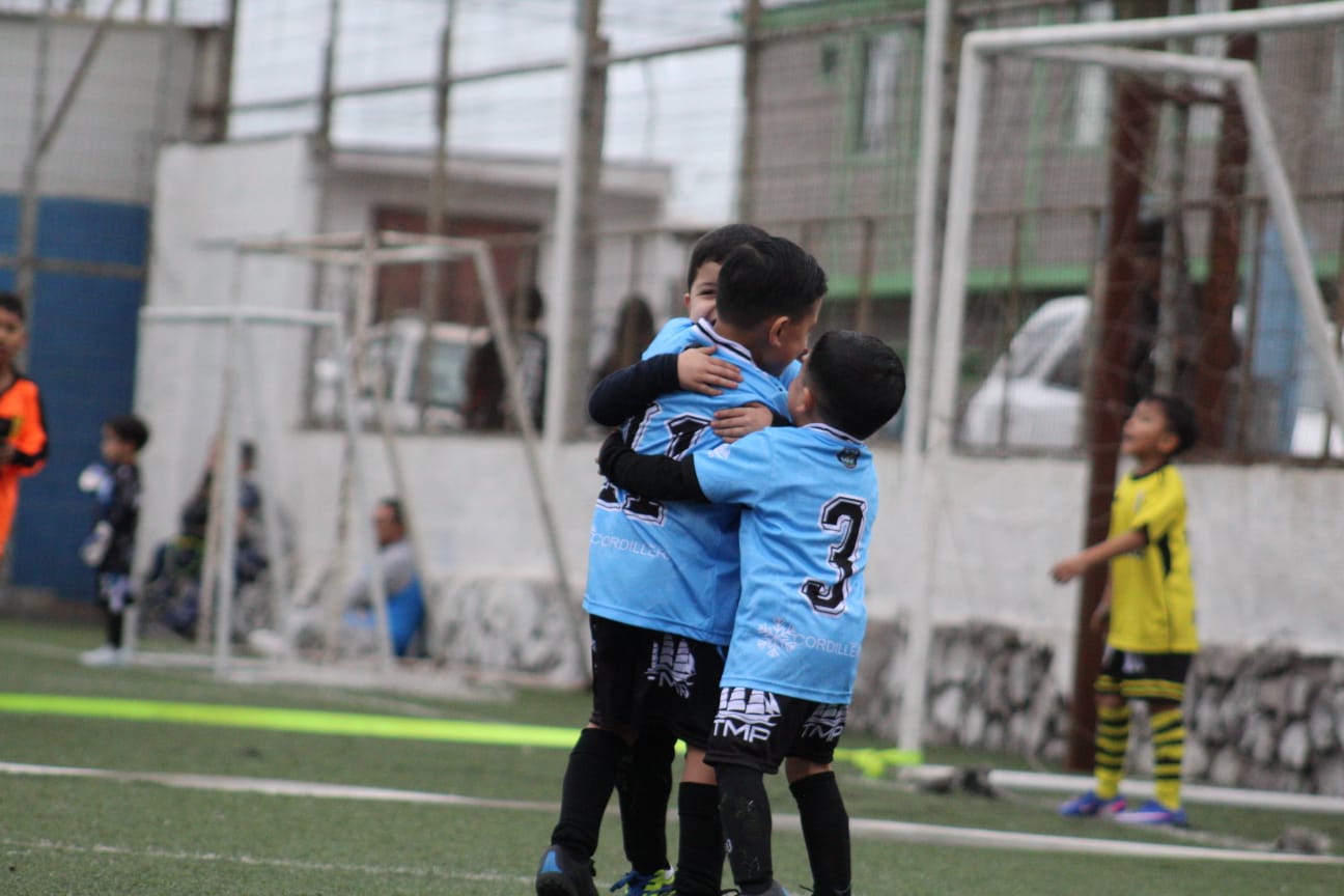 DIENTE DE LECHE 14