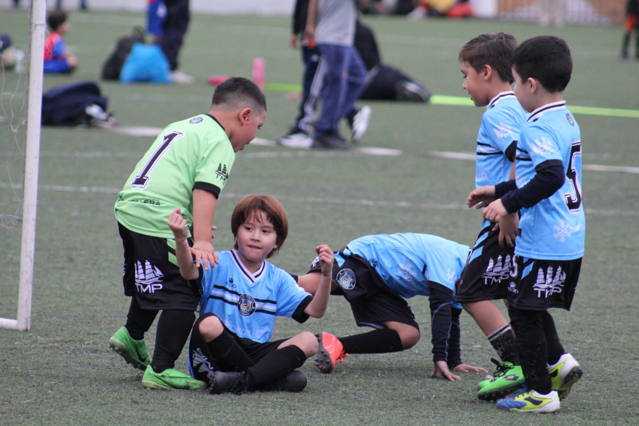 Galeria del club 1